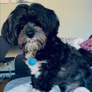 Meet your Posher, Amy